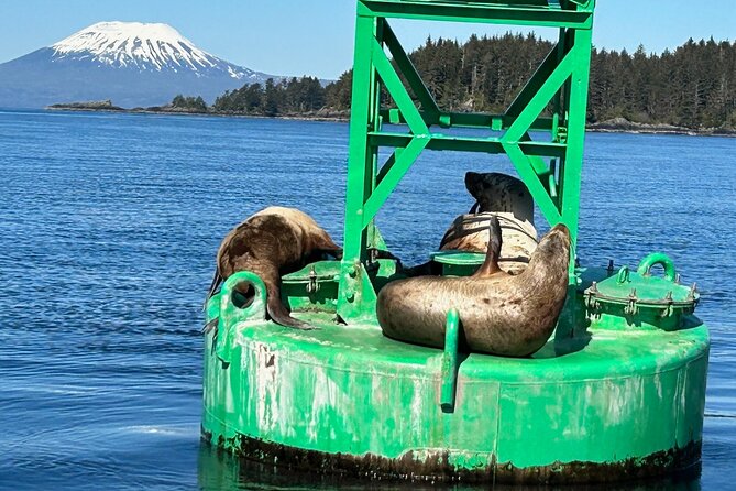 Small Group Boat Tour of Sitka - Comfort and safety you can feel during the ride