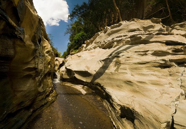 Small Group Budget Tour to Hells Gate National Park and Lake Naivasha Boat Ride - Hell’s Gate by bike: the budget Nairobi outing that feels like a proper adventure
