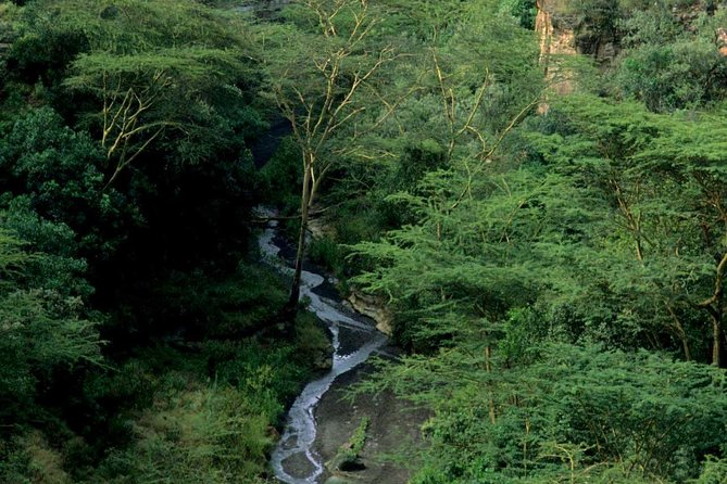 Small Group Budget Tour to Hells Gate National Park and Lake Naivasha Boat Ride - If you get tired: vehicle touring and the charge-free ride back option