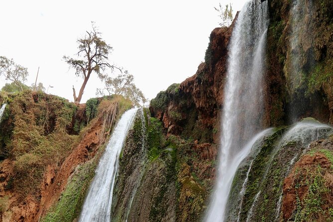 Small group Ouzoud Waterfall Guided Tour Boat Ride from Marrakech - Group Size, Service Style, and What “Private” Usually Means Here