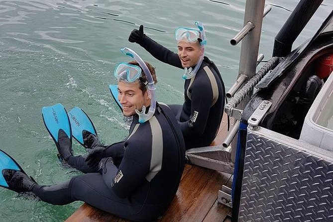Snorkel, Kayak, and Seal Adventure: Vancouver Boat Tour - Kayaking next to seals: the best view for hands-on curiosity