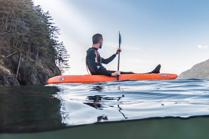 Snorkel, Kayak, and Seal Adventure: Vancouver Boat Tour - What it costs (and how to judge value)