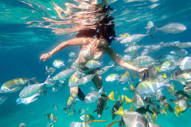 Snorkel Tour and Glass-Bottom Boat Ride in Cabo San Lucas - Pelican Rock snorkeling: why this stop matters more than you expect