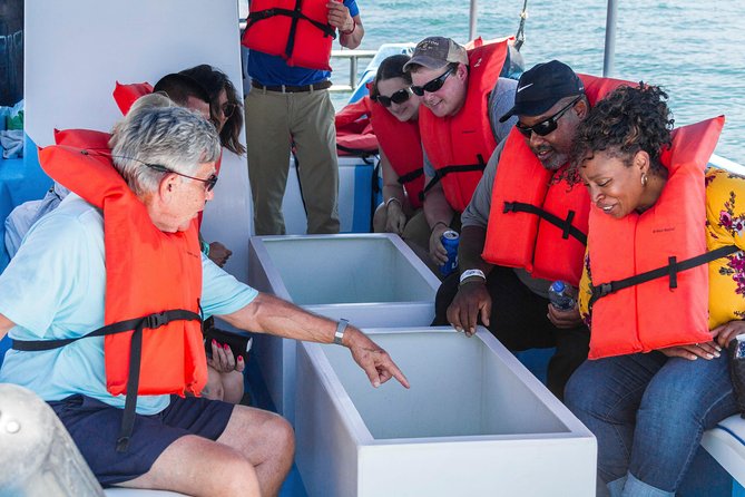 Snorkel Tour and Glass-Bottom Boat Ride in Cabo San Lucas - Guided wildlife spotting: what the guides actually do