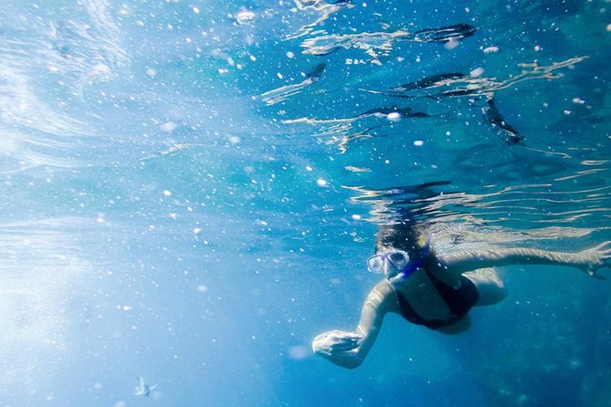 Snorkel Tour and Glass-Bottom Boat Ride in Cabo San Lucas - Weather, sea conditions, and when to be flexible