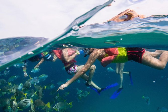 Snorkel Tour and Glass-Bottom Boat Ride in Cabo San Lucas - Meeting up in Los Cabos: pickup timing that keeps the day calm