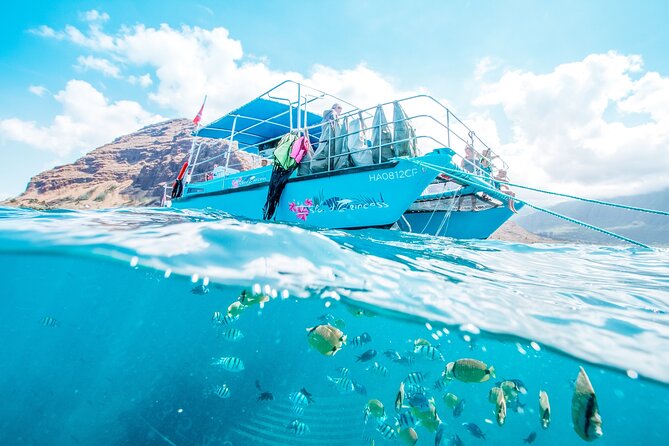Snorkeling with Sea Turtles in Waikiki Hawaii Boat Tour - The catamaran ride: E Hō Mai, green tea, and staying comfy