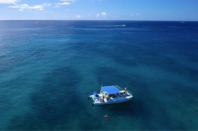 Snorkeling with Sea Turtles in Waikiki Hawaii Boat Tour - The wildlife bonus: dolphins, whales, and other surprises