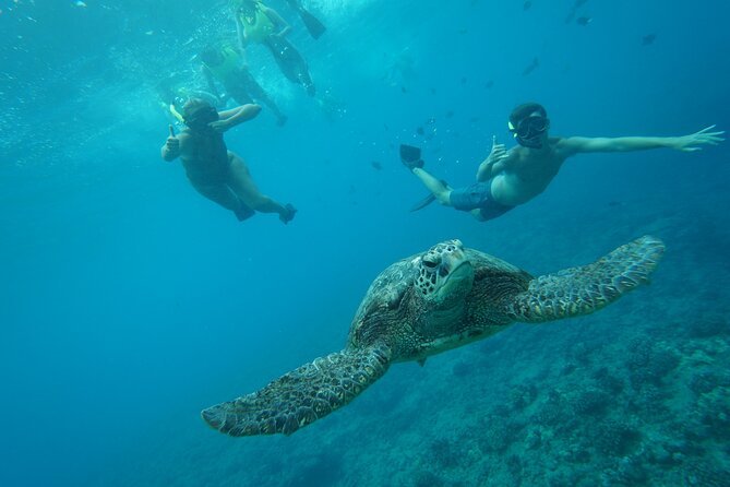 Snorkeling with Sea Turtles in Waikiki Hawaii Boat Tour - Timing and stops: Waikiki to Honolulu to the water