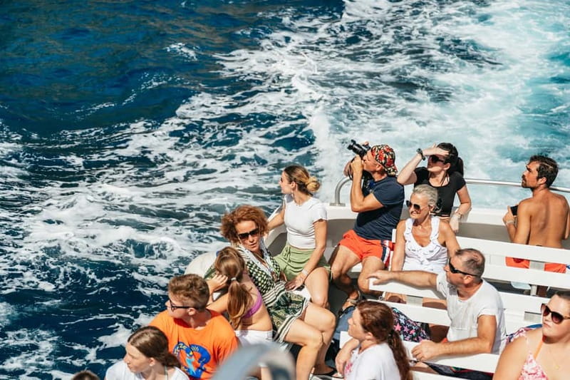 Sorrento: Coast and Capri Boat Trip with Limoncello Tasting - Limoncello tasting: what it is and how much to expect