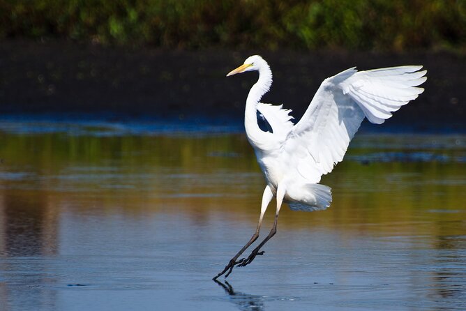 Spectacular Palo Verde Eco-Tour & Blue Zone Adventure - Price and What’s Actually Included for $148.72