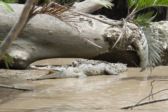 Spectacular Palo Verde Eco-Tour & Blue Zone Adventure - Who This Eco-Tour and Blue Zone Adventure Works Best For