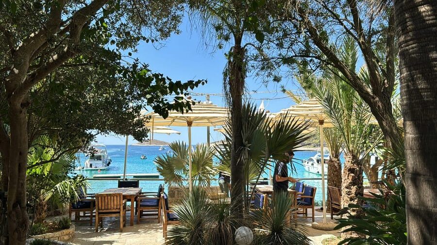Split: Blue Lagoon, Hvar and 6 Islands Small Group Boat Tour - Maslinica on Šolta: The Quiet Island Contrast