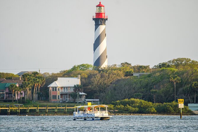 St Augustine Sunset Boat Tour - Sunset timing and wildlife odds (dolphins, manatees, birds)