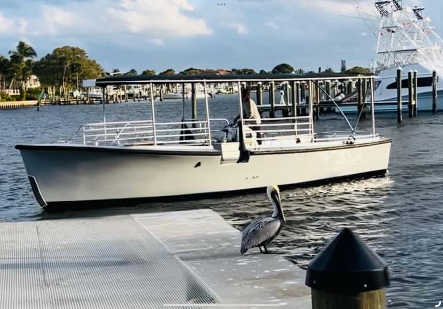 St. Augustine: Sunset Boat Tour with Dolphin Spotting - Close to Castillo de San Marcos: Why the Waterline Matters