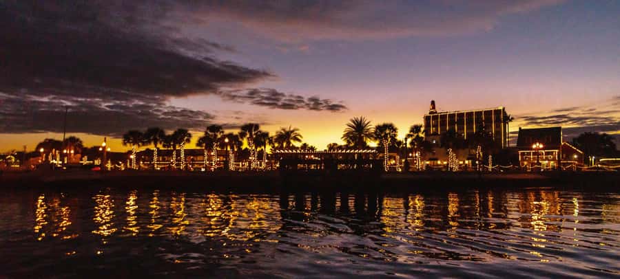 St. Augustine: Sunset Boat Tour with Dolphin Spotting - Dolphin Spotting Without the Loud, Fake-Show Energy