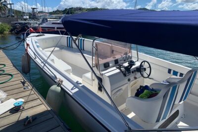 St. Lucia Private Boat Tour, Mud Bath, Waterfall & Beach Time - Sulphur Springs mud bath: the fun, the heat, and the logistics