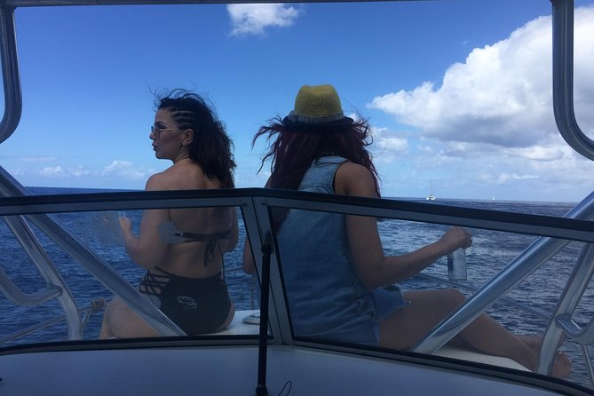 St. Lucia Private Boat Tour, Mud Bath, Waterfall & Beach Time - Jalousie Beach (Sugar Beach): sand time and snorkeling with fish