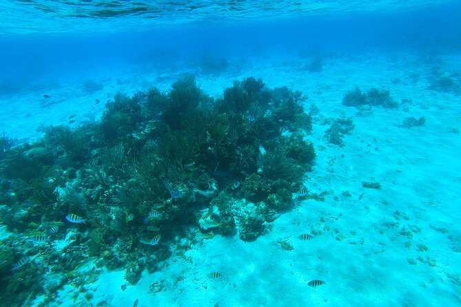 Stingray City, Star fish Point and Snorkeling Private Boat Tour - Weather, sea state, and what “safe speed” means