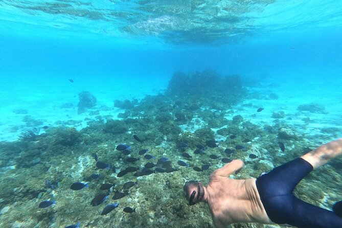 Stingray City, Star fish Point and Snorkeling Private Boat Tour - Who this tour suits best (and who should think twice)