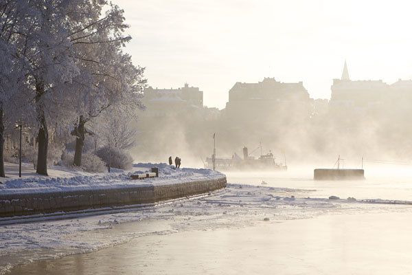 Stockholm: Winter Boat Tour with Guide - Price and value: is $43 for 75 minutes worth it?