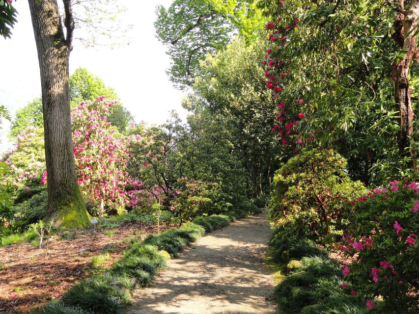 Stresa: 3 Borromean Islands Boat Tour - Isola Madre’s botanical garden: the slow, plant-filled side of Lake Maggiore