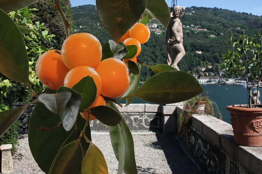 Stresa: Isola Bella Hop-on Hop-off Boat Tour - Giardino Botanico Alpinia in Stresa: The Alpine Green Bonus
