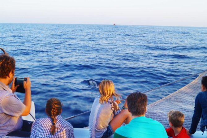 Sunrise Boat Trip in Mallorca with Dolphin-Watching - Morning route: what you’re actually doing before dolphin time