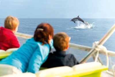 Sunrise Boat Trip in Mallorca with Dolphin-Watching - Getting to the meeting point in Port d’Alcúdia