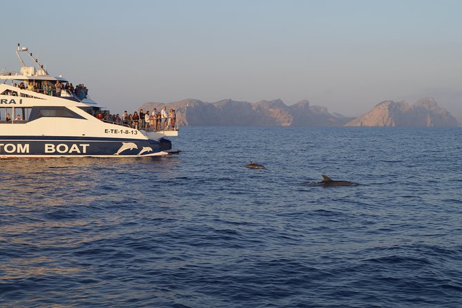 Sunrise Boat Trip in Mallorca with Dolphin-Watching - The other side of the experience: crowds and comfort