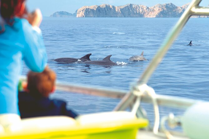 Sunrise Boat Trip in Mallorca with Dolphin-Watching - Dolphin-watching expectations: what “close encounter” really means