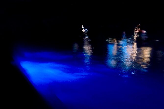 Sunset and Bioluminescence Boat Tour at Los Arcos Islands - Safety, comfort, and the parts you should plan for
