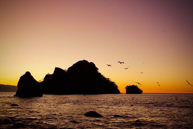 Sunset and Bioluminescence Boat Tour at Los Arcos Islands - Guides, group vibe, and why names keep coming up