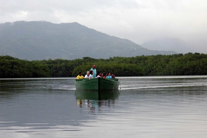Sunset Boat Tour into Caroni Wetlands - Why the Caroni Wetlands feel made for sunset birdwatching