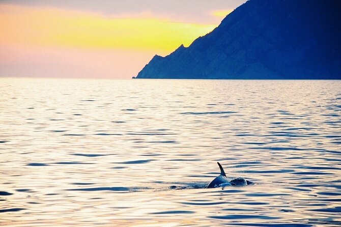 Sunset Cinque Terre Boat Tour with a traditional ligurian gozzo from Monterosso - Village-by-village: what each stop feels like from the boat