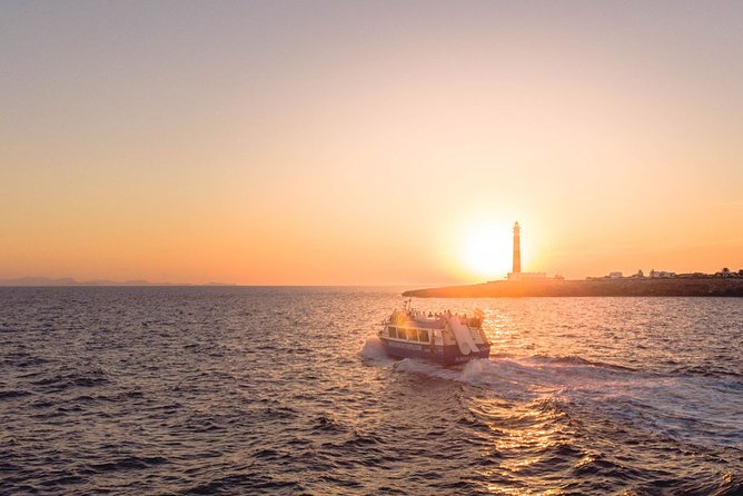 Sunset Experience | 2 hours boat trip at sunset time - Entering Ciutadella’s Old Port: Cathedral Views First