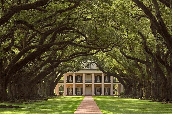 Swamp Boat Ride and Oak Alley Plantation Tour from New Orleans - Who this tour suits best (and who might want a different plan)