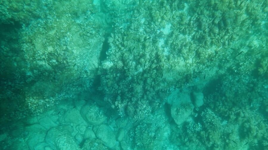 Syracuse: Coast and Sea Caves Full Transparent Boat Tour - Crystal Boat 101: Why the transparent hull changes Siracusa’s sea caves