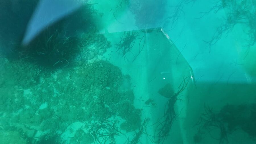 Syracuse: Coast and Sea Caves Full Transparent Boat Tour - The transparent-floor reality check: comfort, visibility, and safety