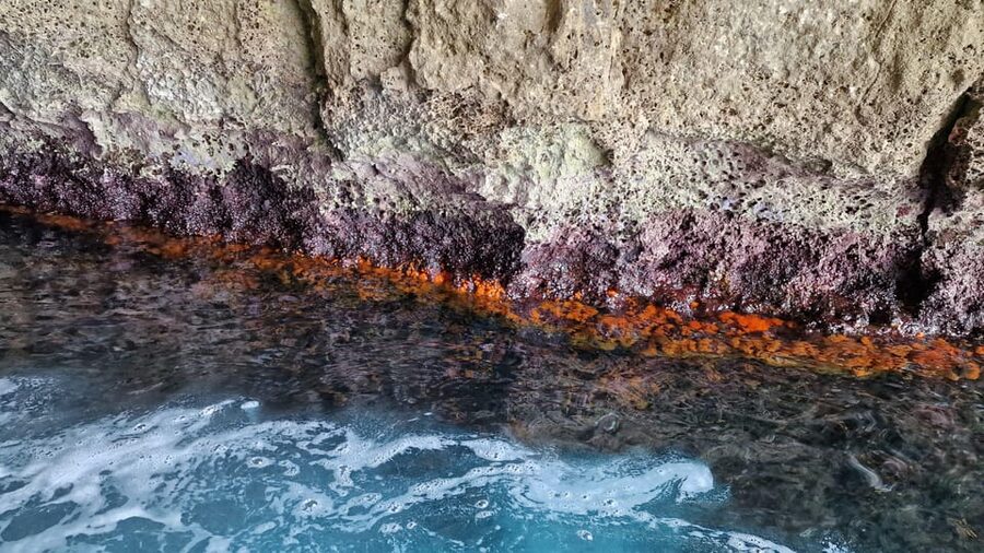 Syracuse: Picnic boat tour of Pillirina, Ortigia & sea caves - Ortigia Coast From the Water: Why This 2.5 Hours Feels Worth It
