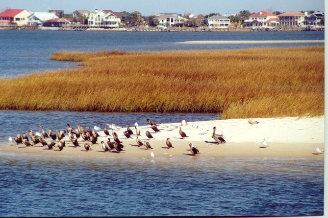 Take a Scenic Boat Ride in St. Augustine - Why this 1 hour 15 minute St. Augustine cruise is a smart use of time