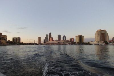 Tampa Celebrity Homes Boat Tour - The dolphins factor: why Tampa Bay makes this feel a bit special