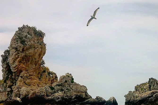 Taormina - Classic Boat Tour - The Isola Bella route: bays, stacks, and cave country