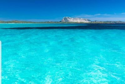 Tavolara Boat Tour and Snorkeling - The 4-hour rhythm: four swim moments, not one big one