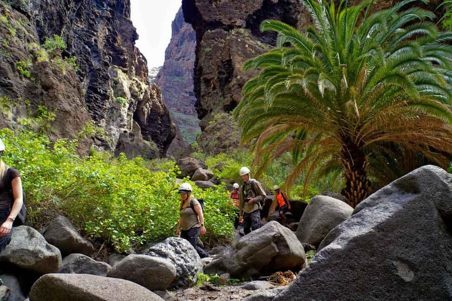 Tenerife Barranco de Masca: Guided hike + boat ride + transport - Barranco de Masca: why this 5 km feels like a full adventure
