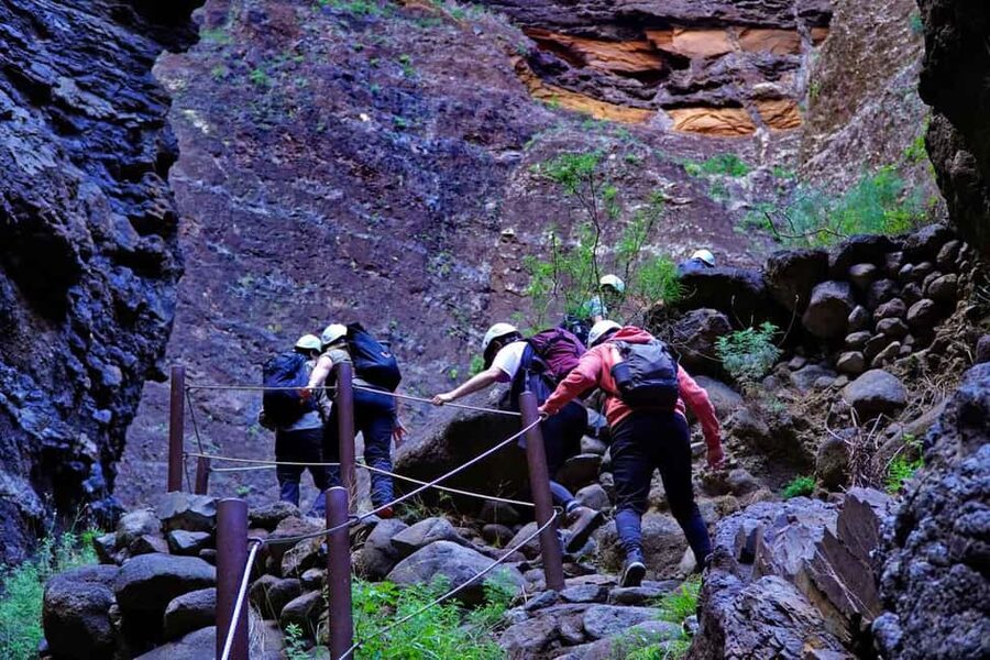 Tenerife : Masca ravine: Descent & boat trip - Guided stops in Masca: science talk, safety checks, and real time