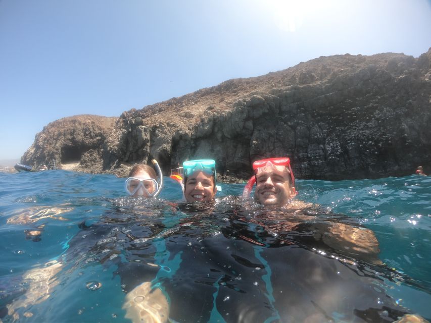 Tenerife Snorkeling boat trip in a Turtle Habitat - Tips for a Smooth Day: What to Do Before You Even Arrive