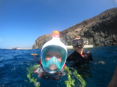 Tenerife Snorkeling boat trip in a Turtle Habitat - Speedboat Segment: Coast Views, Fun Energy, and What to Expect on the Water