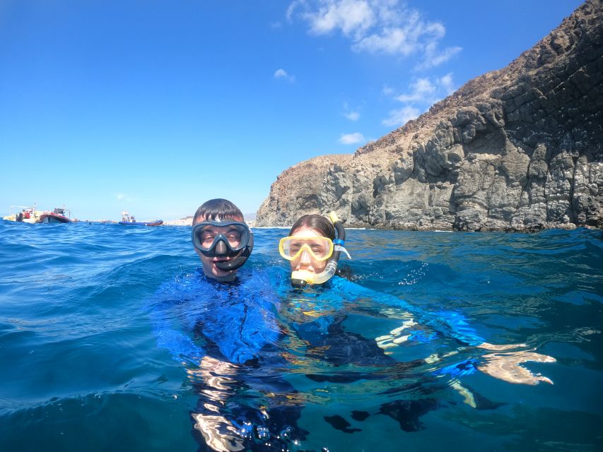 Tenerife Snorkeling boat trip in a Turtle Habitat - Dolphins, Rays, Fish: What You Might See (and Why That Matters)