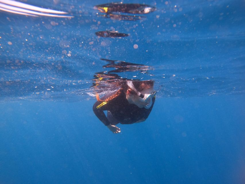 Tenerife Snorkeling boat trip in a Turtle Habitat - How the Itinerary Flows: The 150-Minute “Just Right” Format